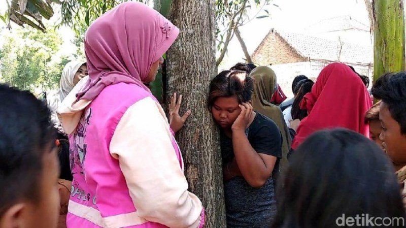Pohon Akasia di Jember Keluarkan Suara Tangis Perempuan