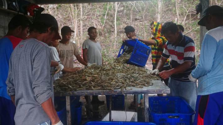 Growpal, Investasi Perikanan Dukung Petani Berbisnis Hasil Perikanan