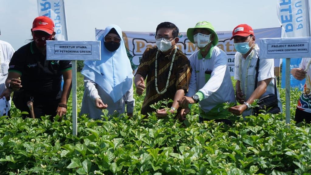 Petrokimia Gresik Hidupkan Kejayaan Ekspor Melati Kabupaten Tegal