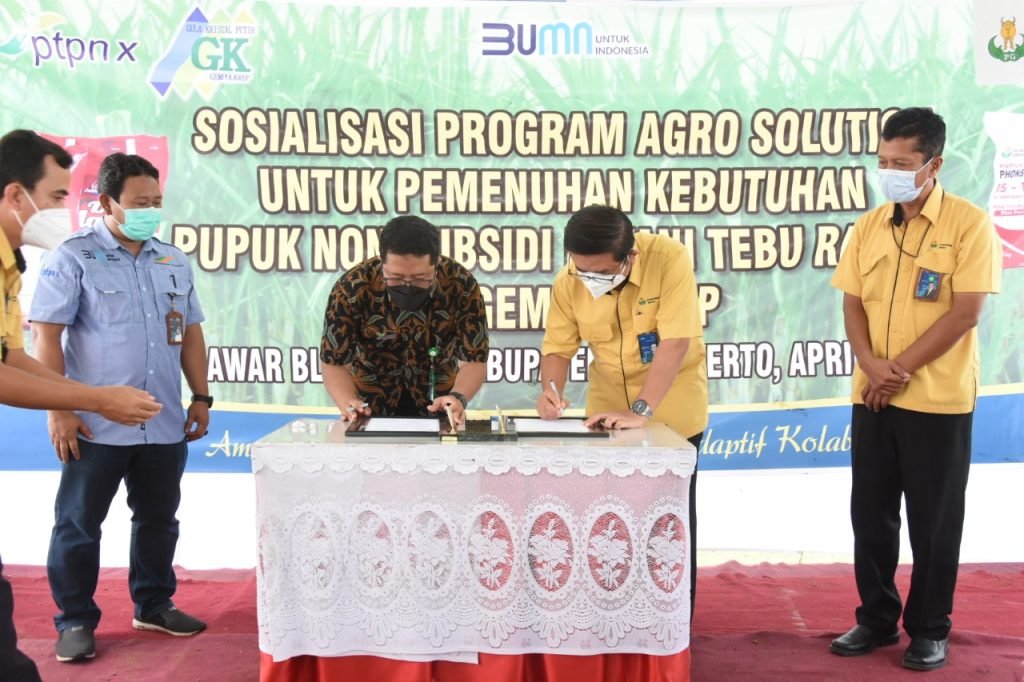 Jaga Produktivitas Tebu Petrokimia Gresik Gandeng PTPN X