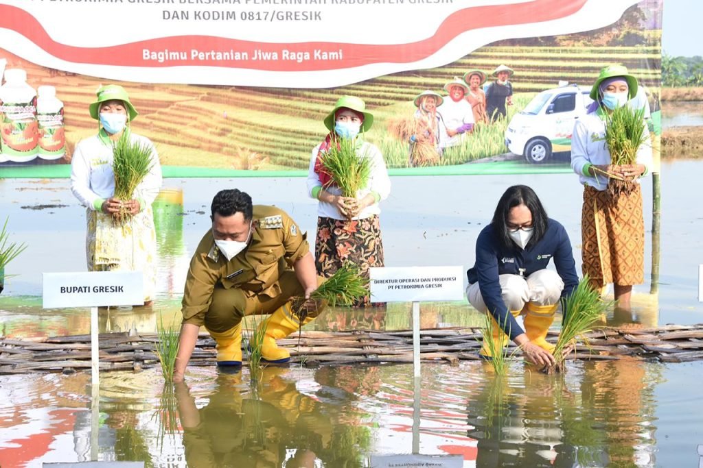 Petrokimia Gresik Bangun Demplot Dambaan di 15 Kecamatan di Gresik
