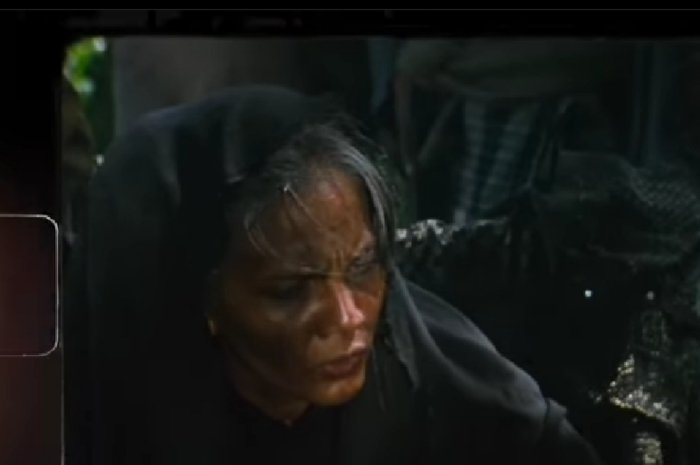 Cut Nyak Dhien Dimata Erick Thohir Menteri BUMN