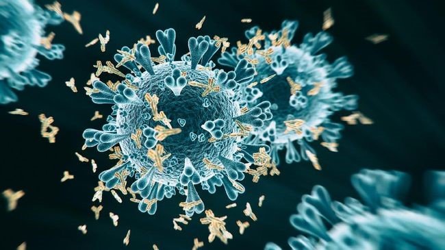 Varian Delta dan Varian MU dua dari hasil mutasi virus COVID19
