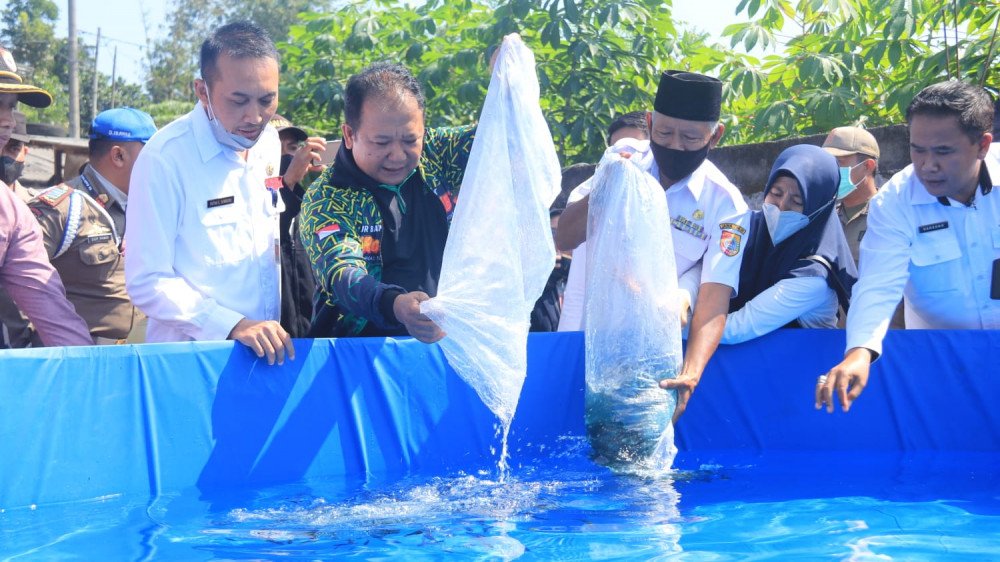 Inovasi Baru Jember untuk Desa Panti