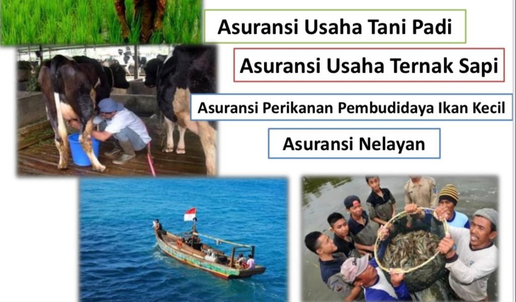 Program Bantuan AUTP dan AUTS Solusi Terbaik Bagi Petani Sumenep