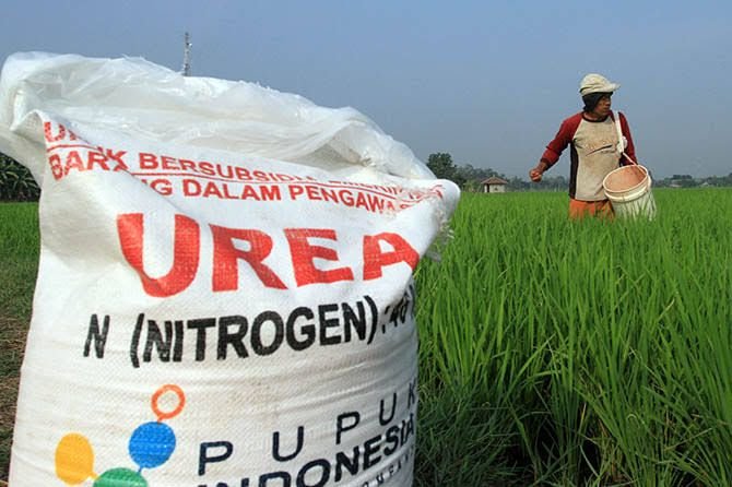 Harga Pupuk Bersubsidi Dijual Diatas HET, Laporkan!