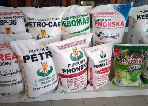 DKPP Sumenep Imbau Petani Tidak Hanya Menggunakan Satu Jenis Pupuk, Lainnya Juga Bagus