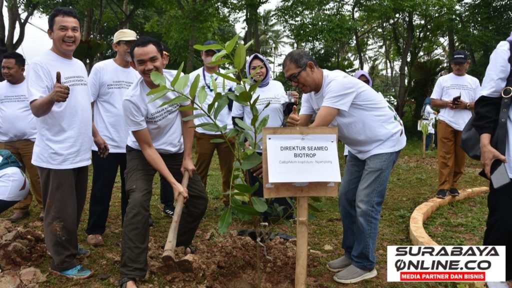 50 Persen Lebih Tanaman Mangrove Rusak
