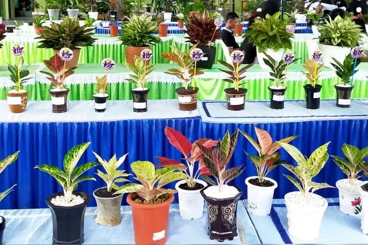 Bursa Tanaman Hias dan Bazar UMKM Digelar di RTH Kanigoro Blitar