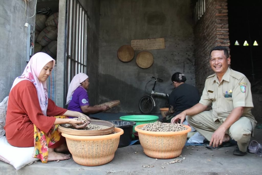 Pemdes Selorejo Fasilitasi Pengembangan Produksi Kacang Kulit