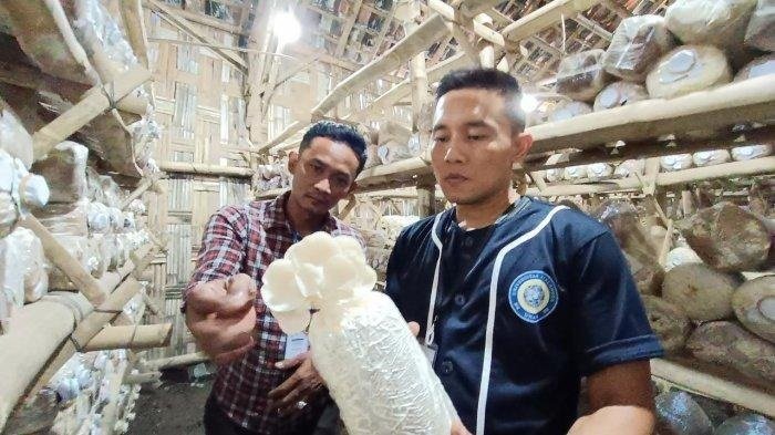 Mahasiswa Unair Beri Wawasan UMKM Budi Daya Magot dan Jamur