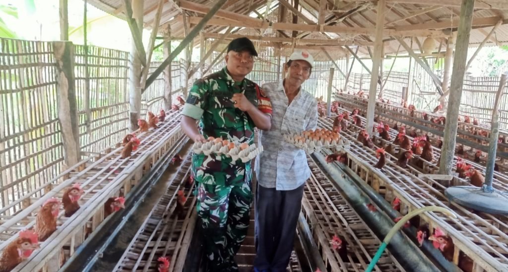 Babinsa Desa Taraban Dukung UMKM Peternakan Ayam Petelur di Pamekasan