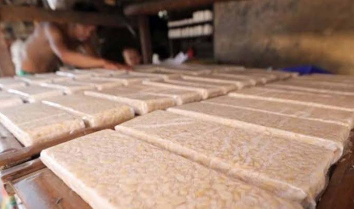 Kampung Tempe Parerejo, Warisan Pangan yang Menjadi Tulang Punggung Ekonomi Desa