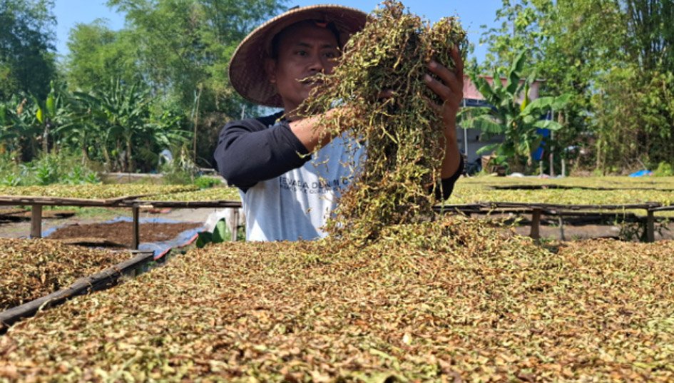 Gus Lilur Ingin Industri Rokok Lebih Adil Lewat Penguatan UMKM