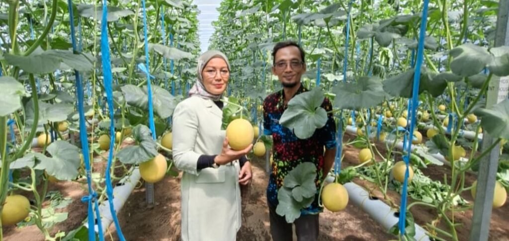 BRI Tulungagung Perkuat UMKM, KUR Rp741 Miliar Mengalir ke Sektor Produktif